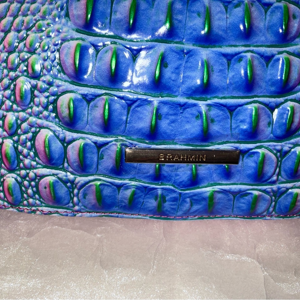 Brahmin Shayna, Divine Ombré Melbourne, NWT - Picture 3 of 16